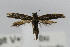  ( - CNCLEP00056337)  @12 [ ] CreativeCommons - Attribution Non-Commercial Share-Alike (2007) Unspecified Canadian National Collection