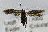  ( - CNCLEP00056338)  @12 [ ] CreativeCommons - Attribution Non-Commercial Share-Alike (2007) Unspecified Canadian National Collection