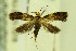  ( - CNCLEP00056340)  @13 [ ] CreativeCommons - Attribution Non-Commercial Share-Alike (2007) Unspecified Canadian National Collection