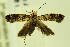  ( - CNCLEP00056341)  @13 [ ] CreativeCommons - Attribution Non-Commercial Share-Alike (2007) Unspecified Canadian National Collection