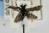  ( - USNMENT00656106)  @13 [ ] Copyright (2007) Unspecified Canadian National Collection