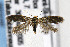  ( - AC005132)  @13 [ ] Copyright (2007) Unspecified Canadian National Collection