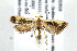  ( - AC005959)  @14 [ ] Copyright (2007) Unspecified Canadian National Collection