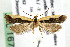  ( - AC005965)  @14 [ ] Copyright (2007) Unspecified Canadian National Collection