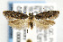  ( - CNCLEP00006313)  @14 [ ] CreativeCommons - Attribution Non-Commercial Share-Alike (2007) Unspecified Canadian National Collection