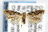  ( - CNCLEP00006318)  @13 [ ] CreativeCommons - Attribution Non-Commercial Share-Alike (2007) Unspecified Canadian National Collection