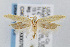  ( - CNCLEP00007994)  @14 [ ] CreativeCommons - Attribution Non-Commercial Share-Alike (2007) Unspecified Canadian National Collection