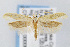  ( - CNCLEP00008002)  @15 [ ] CreativeCommons - Attribution Non-Commercial Share-Alike (2007) Unspecified Canadian National Collection