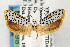  ( - CNCLEP00018724)  @13 [ ] CreativeCommons - Attribution Non-Commercial Share-Alike (2007) Unspecified Canadian National Collection