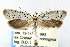  ( - CNCLEP00023752)  @11 [ ] CreativeCommons - Attribution Non-Commercial Share-Alike (2007) Unspecified Canadian National Collection