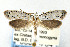  ( - CNCLEP00023754)  @11 [ ] CreativeCommons - Attribution Non-Commercial Share-Alike (2007) Unspecified Canadian National Collection