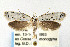  ( - CNCLEP00023755)  @11 [ ] CreativeCommons - Attribution Non-Commercial Share-Alike (2007) Unspecified Canadian National Collection