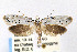  ( - CNCLEP00023756)  @11 [ ] CreativeCommons - Attribution Non-Commercial Share-Alike (2007) Unspecified Canadian National Collection