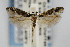  ( - CNCLEP00056483)  @11 [ ] CreativeCommons - Attribution Non-Commercial Share-Alike (2007) Unspecified Canadian National Collection