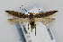  ( - CNCLEP00061393)  @14 [ ] CreativeCommons - Attribution Non-Commercial Share-Alike (2007) Unspecified Canadian National Collection