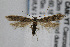  ( - CNCLEP00061397)  @14 [ ] CreativeCommons - Attribution Non-Commercial Share-Alike (2007) Unspecified Canadian National Collection