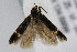  ( - CNCLEP00061422)  @13 [ ] CreativeCommons - Attribution Non-Commercial Share-Alike (2007) Unspecified Canadian National Collection