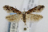  ( - CNCLEP00061441)  @14 [ ] CreativeCommons - Attribution Non-Commercial Share-Alike (2007) Unspecified Canadian National Collection