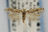  ( - CNCLEP00067427)  @13 [ ] CreativeCommons - Attribution Non-Commercial Share-Alike (2007) Unspecified Canadian National Collection