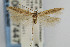  ( - CNCLEP00067447)  @14 [ ] CreativeCommons - Attribution Non-Commercial Share-Alike (2007) Unspecified Canadian National Collection