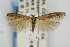  ( - CNCLEP00067448)  @14 [ ] CreativeCommons - Attribution Non-Commercial Share-Alike (2007) Unspecified Canadian National Collection