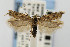  ( - CNCLEP00067464)  @14 [ ] CreativeCommons - Attribution Non-Commercial Share-Alike (2007) Unspecified Canadian National Collection