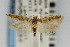  ( - CNCLEP00067487)  @13 [ ] CreativeCommons - Attribution Non-Commercial Share-Alike (2007) Unspecified Canadian National Collection
