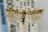  ( - CNCLEP00067492)  @14 [ ] CreativeCommons - Attribution Non-Commercial Share-Alike (2007) Unspecified Canadian National Collection