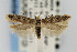  ( - CNCLEP00067515)  @15 [ ] CreativeCommons - Attribution Non-Commercial Share-Alike (2007) Unspecified Canadian National Collection