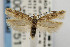  ( - CNCLEP00067517)  @15 [ ] CreativeCommons - Attribution Non-Commercial Share-Alike (2007) Unspecified Canadian National Collection
