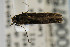  ( - CNCLEP00067523)  @12 [ ] CreativeCommons - Attribution Non-Commercial Share-Alike (2007) Unspecified Canadian National Collection