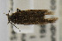  ( - CNCLEP00067524)  @12 [ ] CreativeCommons - Attribution Non-Commercial Share-Alike (2007) Unspecified Canadian National Collection