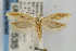  ( - CNCLEP00067535)  @14 [ ] CreativeCommons - Attribution Non-Commercial Share-Alike (2007) Unspecified Canadian National Collection