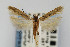  ( - CNCLEP00067574)  @11 [ ] CreativeCommons - Attribution Non-Commercial Share-Alike (2007) Unspecified Canadian National Collection