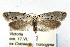 ( - CNCLEP00067726)  @11 [ ] CreativeCommons - Attribution Non-Commercial Share-Alike (2007) Unspecified Canadian National Collection