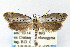  ( - CNCLEP00067728)  @11 [ ] CreativeCommons - Attribution Non-Commercial Share-Alike (2007) Unspecified Canadian National Collection