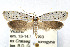  ( - CNCLEP00067730)  @11 [ ] CreativeCommons - Attribution Non-Commercial Share-Alike (2007) Unspecified Canadian National Collection