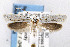  ( - CNCLEP00067734)  @13 [ ] CreativeCommons - Attribution Non-Commercial Share-Alike (2007) Unspecified Canadian National Collection