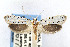  ( - CNCLEP00067736)  @14 [ ] CreativeCommons - Attribution Non-Commercial Share-Alike (2007) Unspecified Canadian National Collection