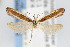  ( - CNCLEP00067757)  @13 [ ] CreativeCommons - Attribution Non-Commercial Share-Alike (2007) Unspecified Canadian National Collection