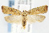  ( - CNCLEP00067763)  @13 [ ] CreativeCommons - Attribution Non-Commercial Share-Alike (2007) Unspecified Canadian National Collection