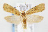  ( - CNCLEP00067764)  @13 [ ] CreativeCommons - Attribution Non-Commercial Share-Alike (2007) Unspecified Canadian National Collection