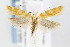  ( - CNCLEP00067766)  @14 [ ] CreativeCommons - Attribution Non-Commercial Share-Alike (2007) Unspecified Canadian National Collection