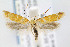  ( - CNCLEP00067771)  @14 [ ] CreativeCommons - Attribution Non-Commercial Share-Alike (2007) Unspecified Canadian National Collection