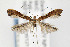  ( - CNCLEP00067792)  @14 [ ] CreativeCommons - Attribution Non-Commercial Share-Alike (2007) Unspecified Canadian National Collection