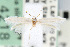  ( - CNCLEP00068437)  @13 [ ] CreativeCommons - Attribution Non-Commercial Share-Alike (2007) Unspecified Canadian National Collection