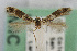  ( - CNCLEP00068455)  @12 [ ] CreativeCommons - Attribution Non-Commercial Share-Alike (2007) Unspecified Canadian National Collection