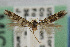  ( - CNCLEP00068456)  @12 [ ] CreativeCommons - Attribution Non-Commercial Share-Alike (2007) Unspecified Canadian National Collection