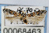  ( - CNCLEP00068463)  @14 [ ] CreativeCommons - Attribution Non-Commercial Share-Alike (2007) Unspecified Canadian National Collection