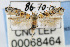  ( - CNCLEP00068464)  @14 [ ] CreativeCommons - Attribution Non-Commercial Share-Alike (2007) Unspecified Canadian National Collection